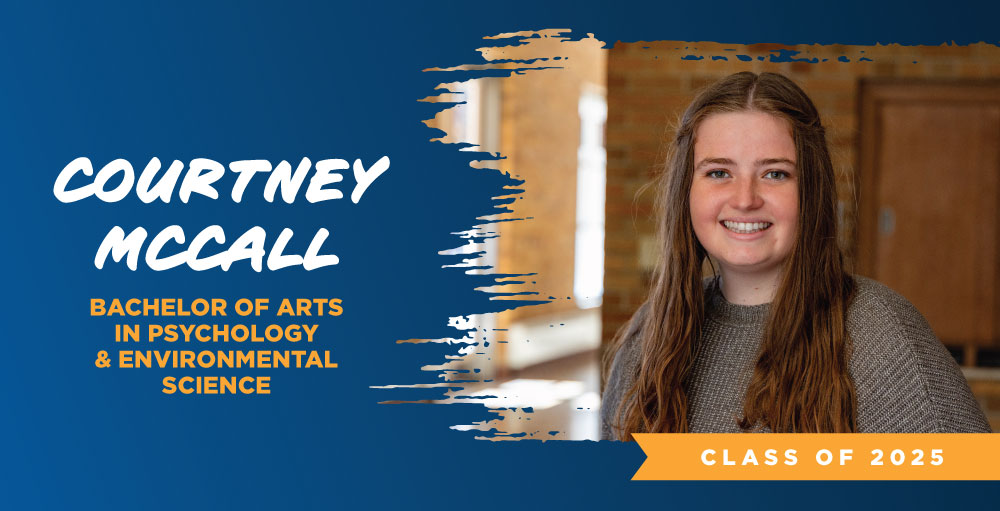 Animal Care and Conservation Internship with Seal Rescue Ireland