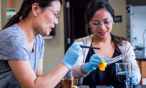 Concordians featured in special volume of AMA Journal of Ethics